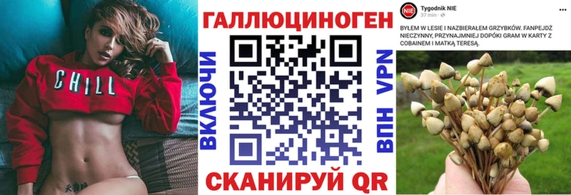 Галлюциногенные грибы Cubensis  Купить где  Красновишерск 
